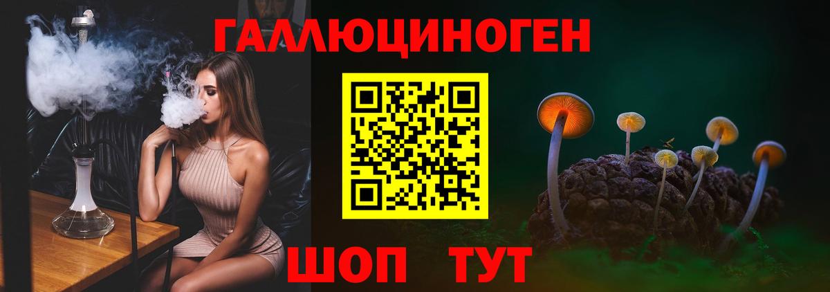 Санкт-Петербург  Галлюциногенные грибы Cubensis  как найти наркотики  Вход с VPN 